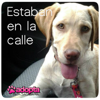 encontrado2 b
