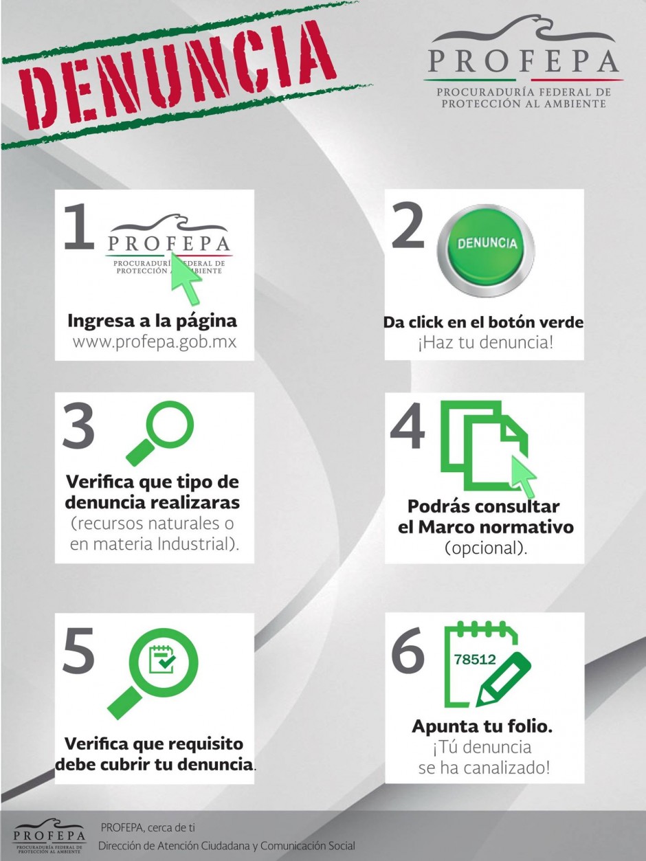 denuncia profepa
