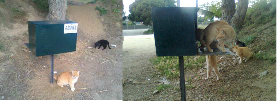 Comederos altos 2