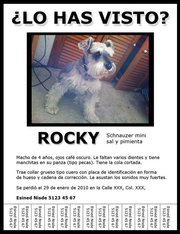 Cómo hacer un cartel de búsqueda para animales que se han extraviado