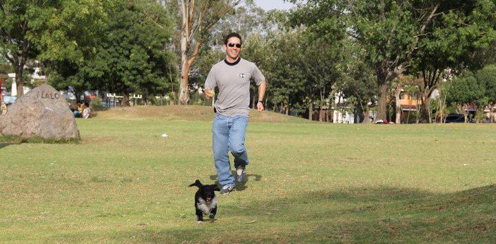 Adoptaste un perro ¿y ahora?