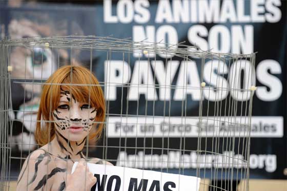 Guía de Acción contra los Circos con Animales
