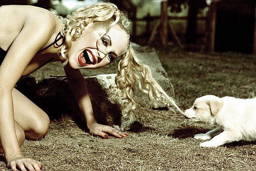 Cómo evitar 4 errores comunes en la educación de un cachorro.