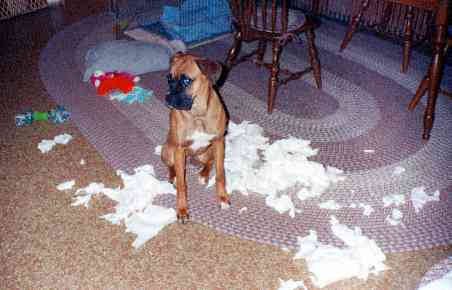 El perro destructor