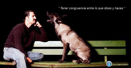 Es cuestión de idiomas…
