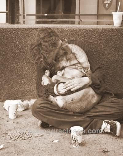 El cuidado y afecto a las mascotas, medicina preventiva que promueve la salud y la vida