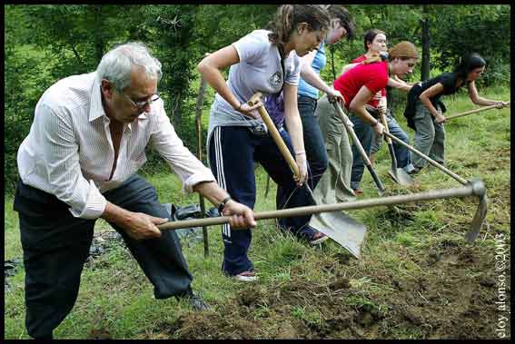 Cómo saber cuando no ser voluntario