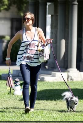 Qué hacer para poder pasear a tu perro tranquilamente
