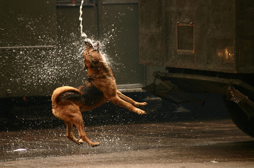 Golpe de calor