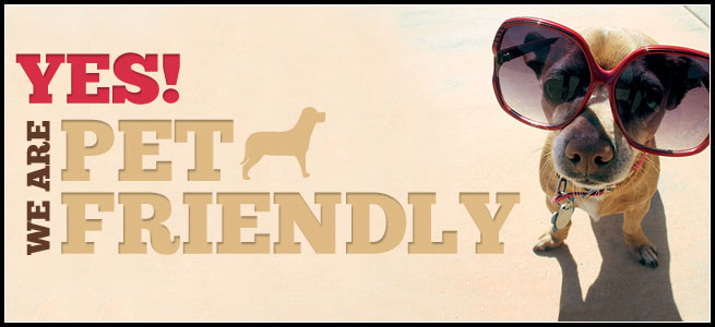 Cafeterías y restaurantes que aceptan perros ( pet friendly)