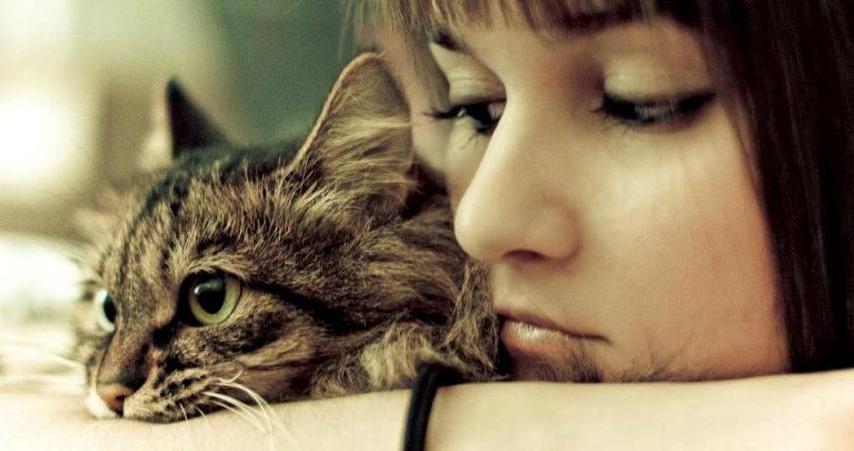 Fidelidad felina