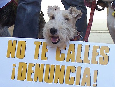 Denuncias de servicios veterinarios por mala praxis