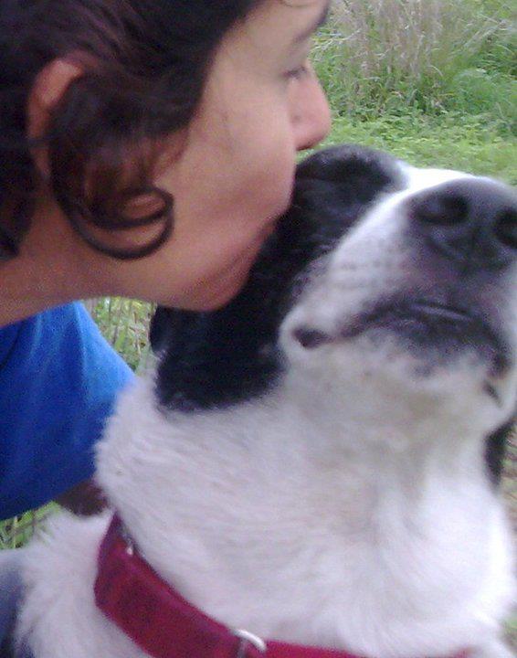 Soy Rescatista de animales