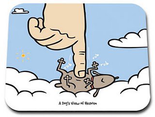 Cuando los perros se van al cielo