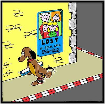 ¿Qué hacer cuando ves un LETRERO o CARTEL de un animalito extraviado o encontrado?