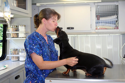¿Sabías que…? Sobre esterilización
