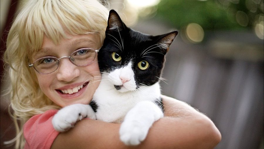 Cómo ser un buen amigo de tu animal de compañía