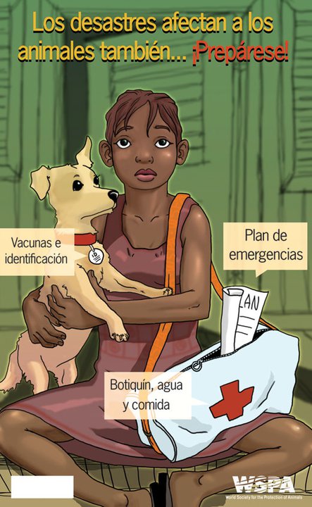 En caso de huracán, ¡no olvides a tu mascota!