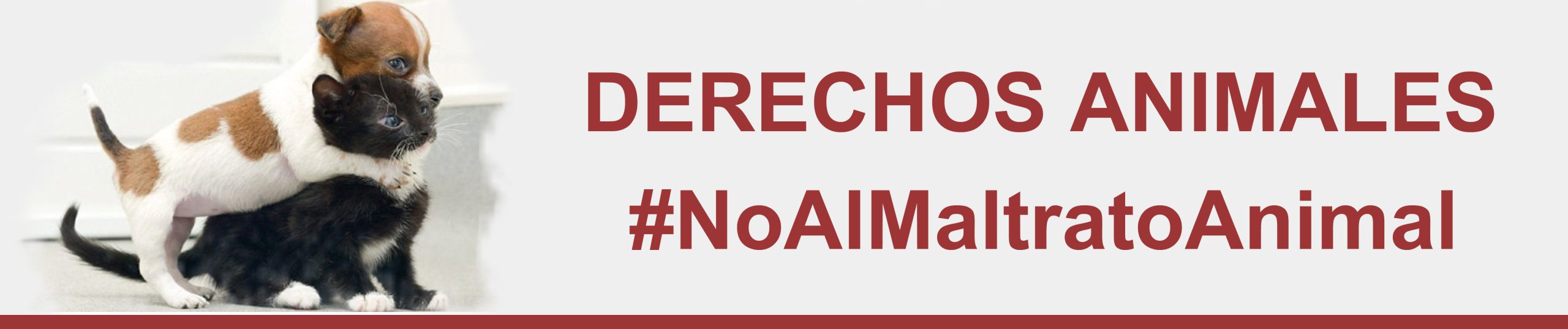 Legislación aplicable en relación a los animales