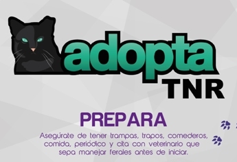 Infografía para realizar un TNR