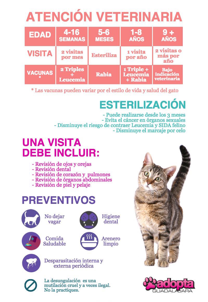 @adoptagdl