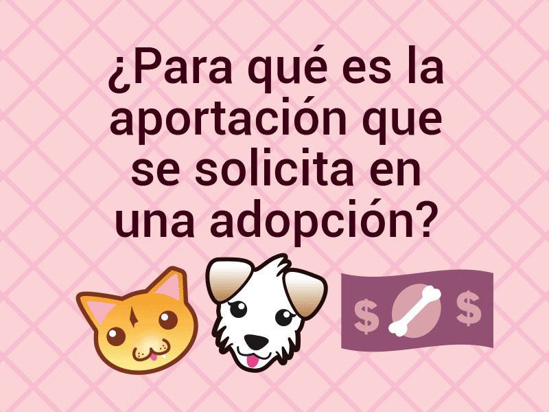 ¿Para qué es la aportación que solicitan en la adopción?